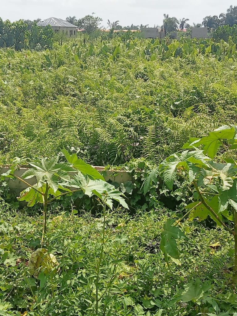 e716ad8b-e63d-4950-986f-ade5c62b2119